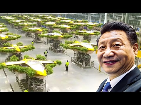 Chinas neue Baumgeneration versetzte die Welt in Schock - YouTube