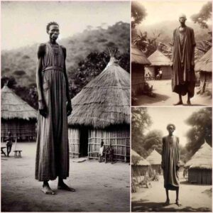 Une découverte choquante en Afrique a mis en lumière ces deltas du Nil, souvent qualifiés de géants et connus pour leur taille impressionnante. - NOUVELLES