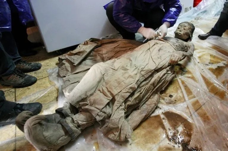 Descubrimiento explosivo: ¡Momia de hada desenterrada, sacudiendo los cimientos de la arqueología convencional!