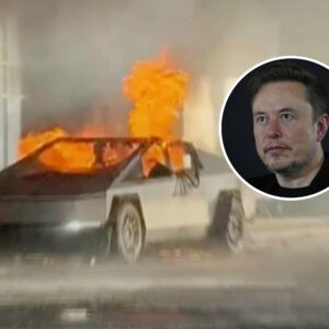 Elon Musk pode processar a Tesla por cobertura após explosão de Cybertruck - Newsweek